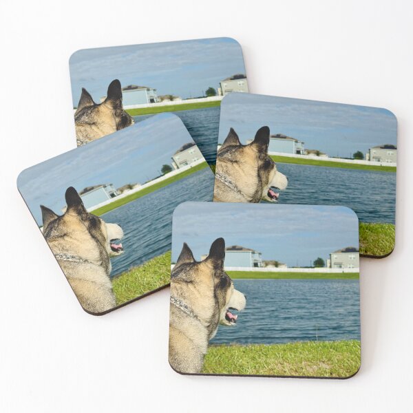 Item preview, Husky Watching the Water – Lakeside designed and sold by QuietBloomDHS.