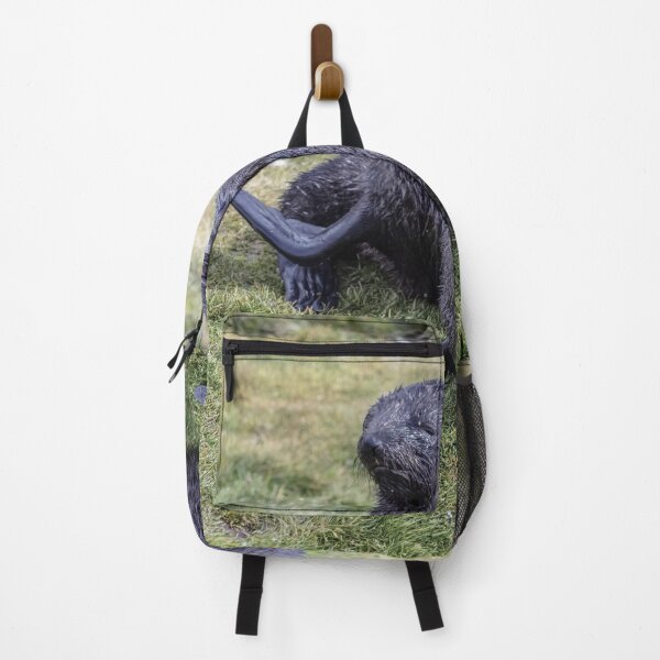 Item preview, Playful Seal Pups on South Georgia Island designed and sold by PhotoArt by Joan Carroll.