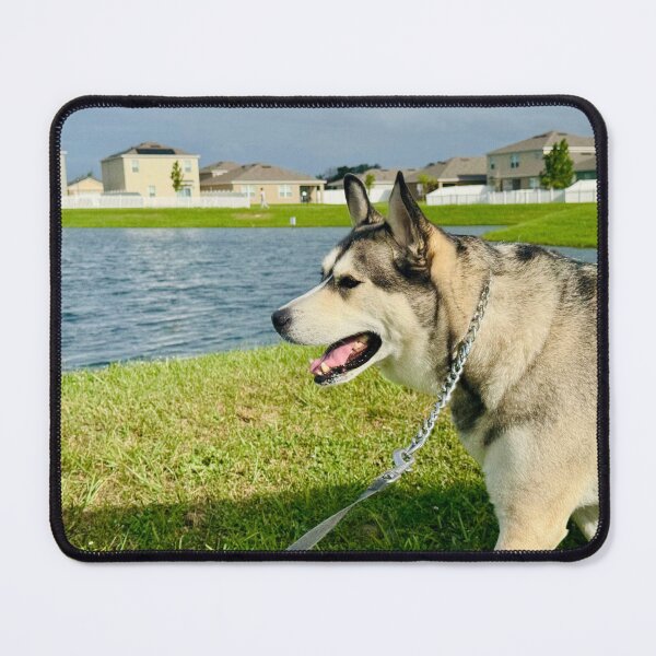 Item preview, Husky on Leash – By the Water designed and sold by QuietBloomDHS.