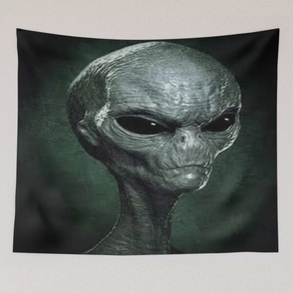 Item preview, alien  designed and sold by pksart1.