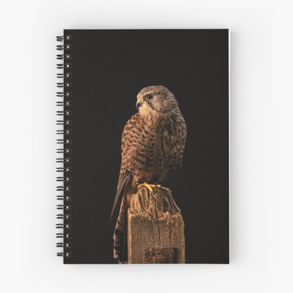 Item preview, Kestrel Waiting for the Hunt designed and sold by Angela Watts.