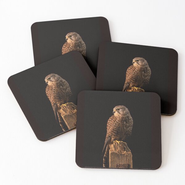 Item preview, Kestrel Waiting for the Hunt designed and sold by Angela Watts.