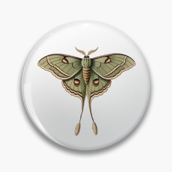 Item preview, Luna Moth — Dark Cottagecore Insect Art designed and sold by TheGraphicsLord.