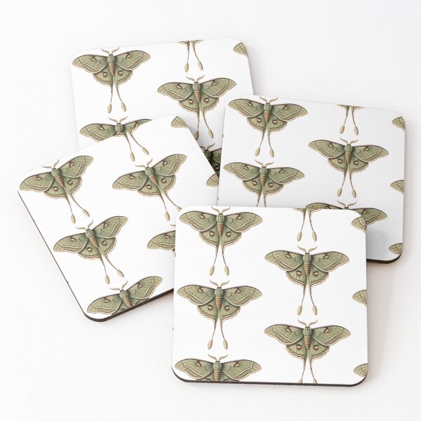 Item preview, Luna Moth — Dark Cottagecore Insect Art designed and sold by TheGraphicsLord.