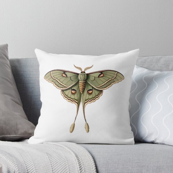 Item preview, Luna Moth — Dark Cottagecore Insect Art designed and sold by TheGraphicsLord.