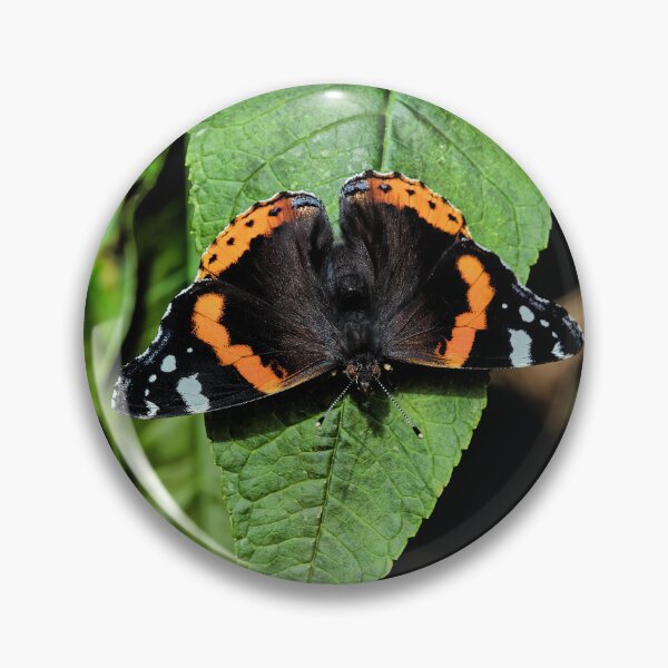 Item preview, the red admiral designed and sold by Tom McPherson Photography.