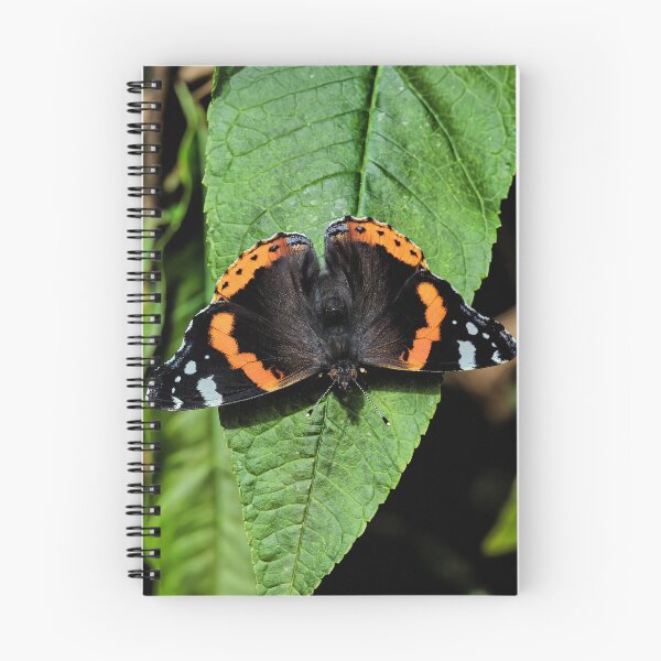 Item preview, the red admiral designed and sold by Tom McPherson Photography.