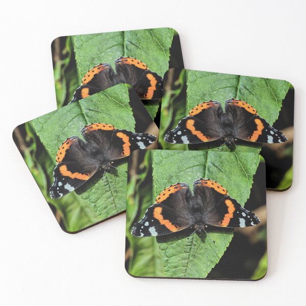 Item preview, the red admiral designed and sold by Tom McPherson Photography.