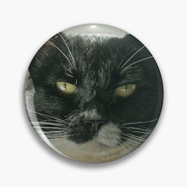 Item preview, El Gato Close Up designed and sold by The Diaries of El Gato.