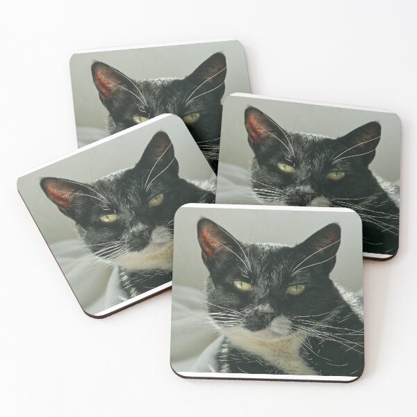 Item preview, El Gato Close Up designed and sold by The Diaries of El Gato.