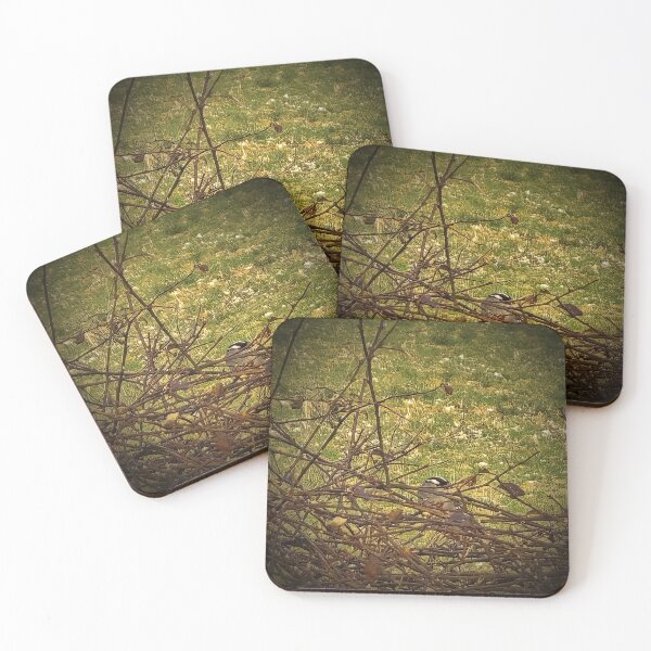 Item preview, Bird Among Thorny Branches designed and sold by Stacey's unpromised.