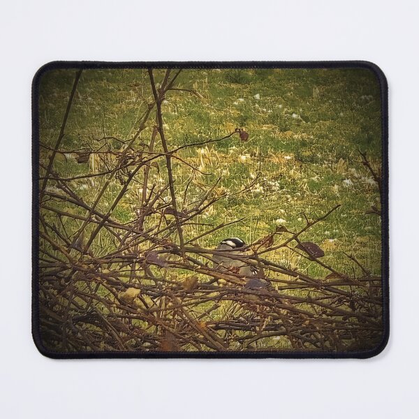 Item preview, Bird Among Thorny Branches designed and sold by Stacey's unpromised.
