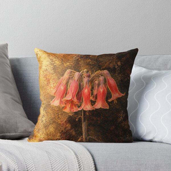 Item preview, Kalanchoe delagoensis — Mother of Millions designed and sold by kornkobart.