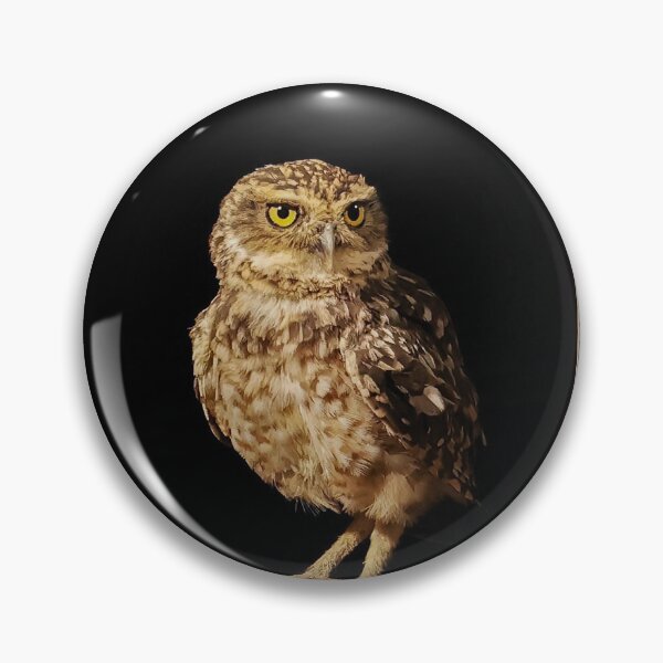 Item preview, Burrowing Owl at Barn Window designed and sold by Angela Watts.
