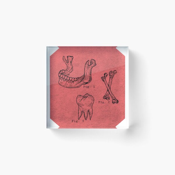 Item preview, Bones Illustration designed and sold by moonshinemais.