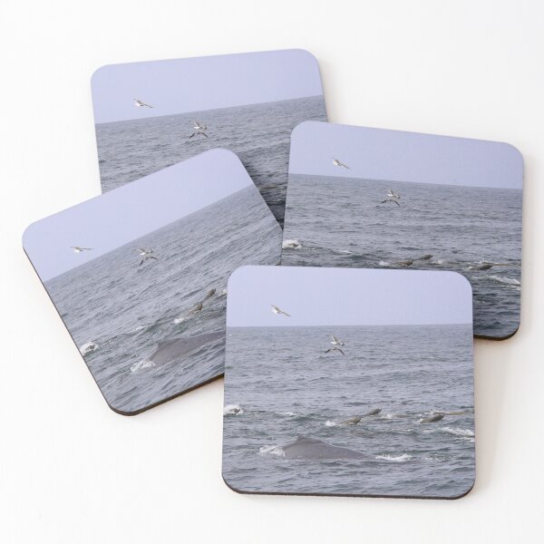 Item preview, Collaboration designed and sold by Sedgwick Nature Photography & Design.