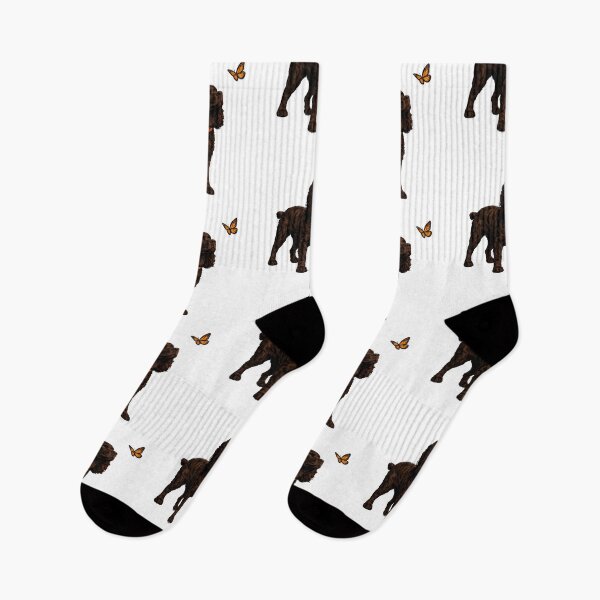 Item preview, American Water Spaniel designed and sold by VelvetRoom.