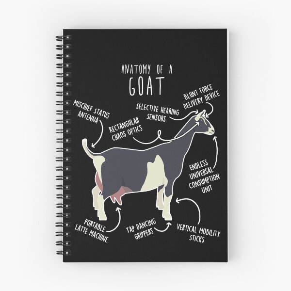 Item preview, Sable Goat Anatomy designed and sold by Clara Hollins.