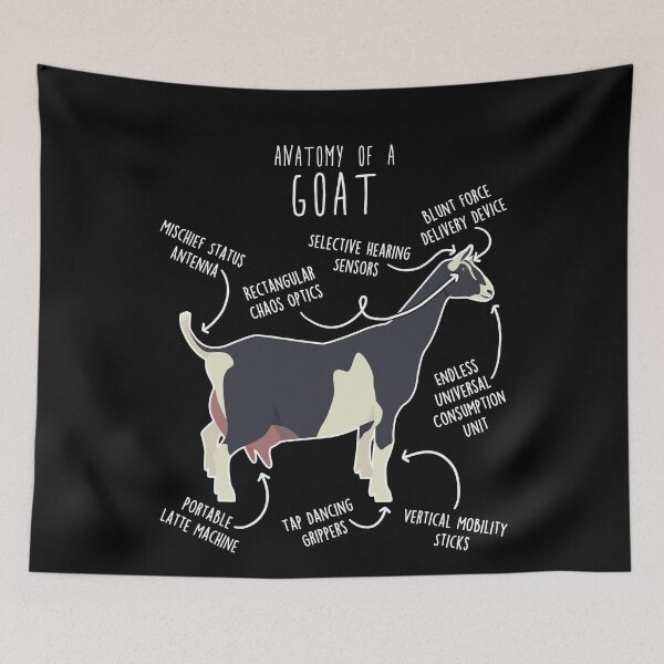 Item preview, Sable Goat Anatomy designed and sold by Clara Hollins.