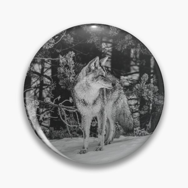 Item preview, Wild Coyote in Winter - B & W designed and sold by AlsknMommaBear2.