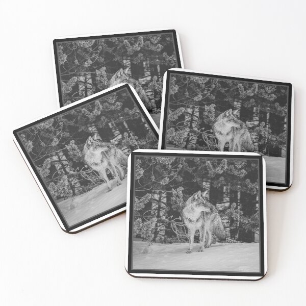 Item preview, Wild Coyote in Winter - B & W designed and sold by AlsknMommaBear2.