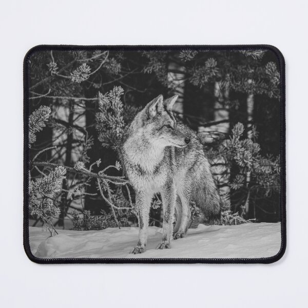Item preview, Wild Coyote in Winter - B & W designed and sold by AlsknMommaBear2.