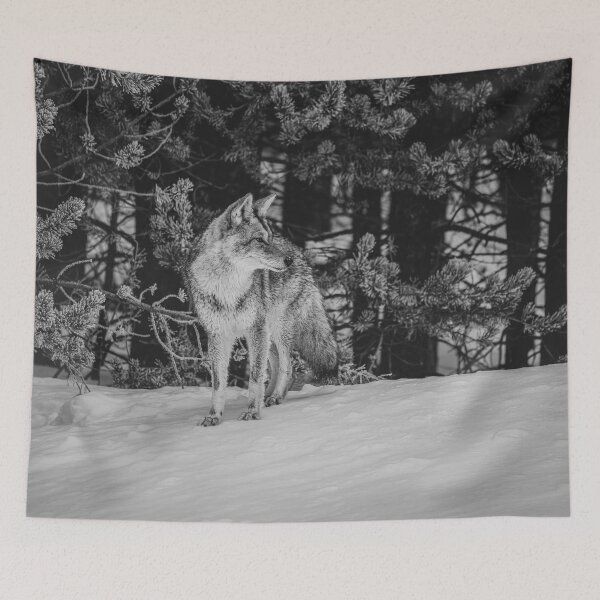 Item preview, Wild Coyote in Winter - B & W designed and sold by AlsknMommaBear2.
