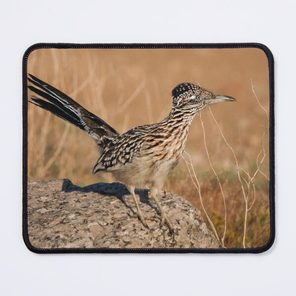 Item preview, Roadrunner in the Mojave Desert designed and sold by Laurenvschijnd.