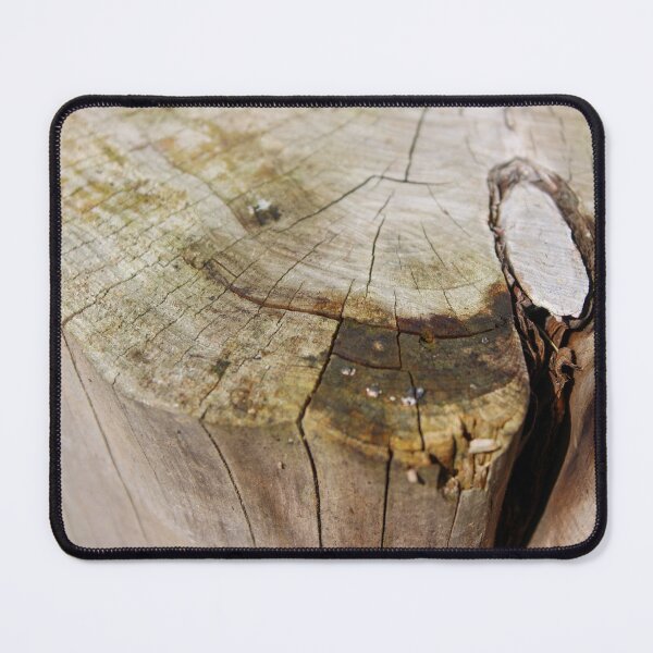 Item preview, Tree Stump designed and sold by Birds & Beans Photography.