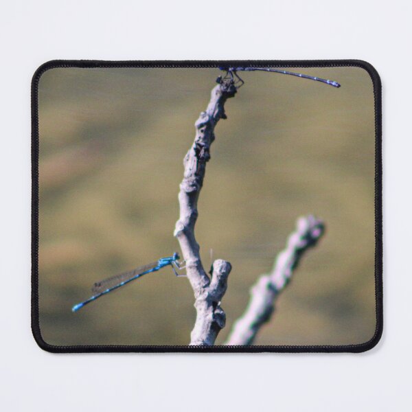 Item preview, Dragonflies designed and sold by Birds & Beans Photography.