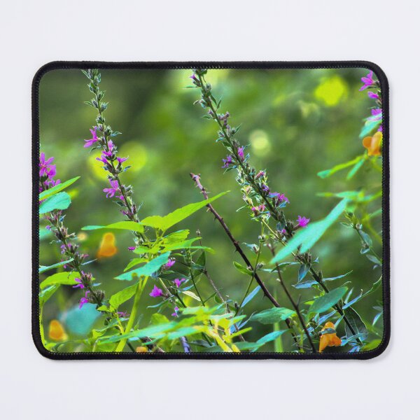 Item preview, Wildflowers designed and sold by Birds & Beans Photography.