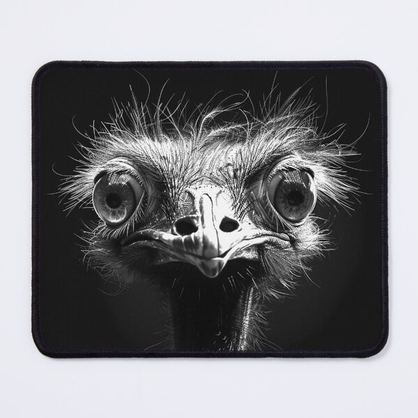 Item preview, Ostricj Close-Up with Wide Eyes Monochrome Wildlife Portrait designed and sold by inkoutninja.