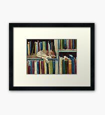 Gut gelesen Gerahmtes Wandbild