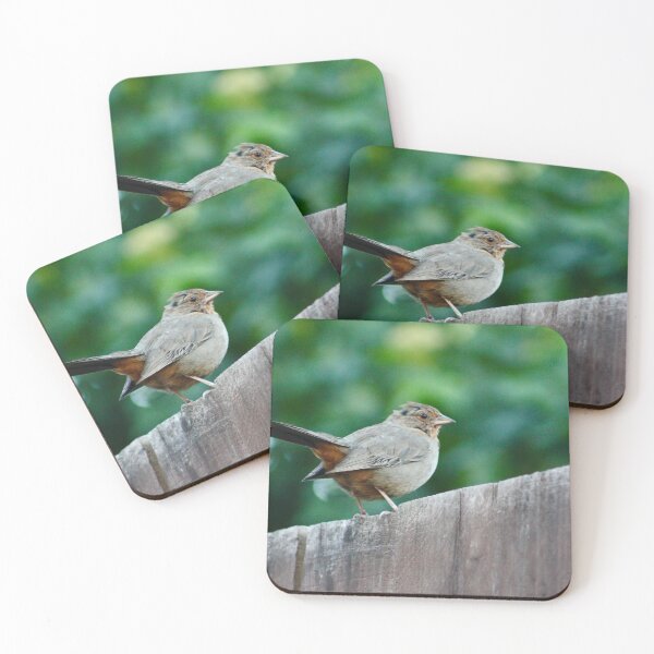 Item preview, California Towhee designed and sold by Tammy's Handmade Gifts.