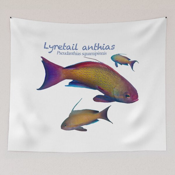 Item preview, Colorful Reef Fish  designed and sold by tank200bar.
