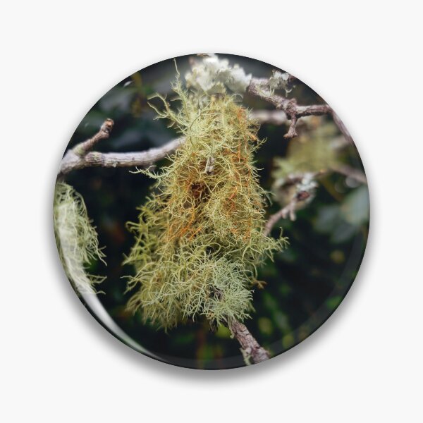 Item preview, Old Man's Beard Lichen designed and sold by itsash95.