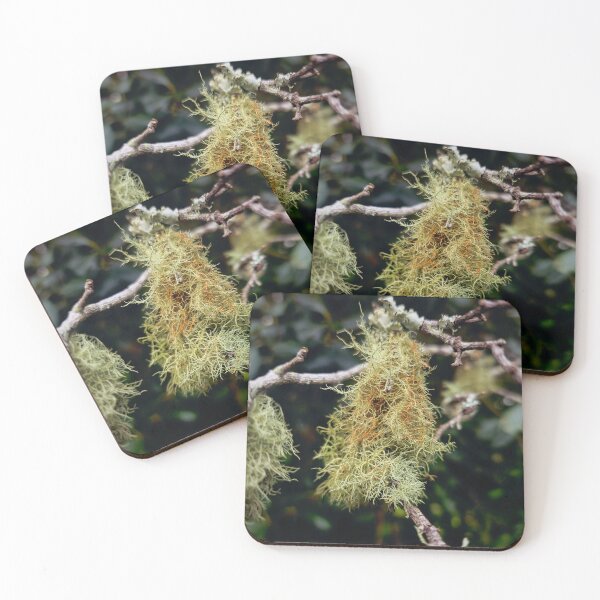 Item preview, Old Man's Beard Lichen designed and sold by itsash95.