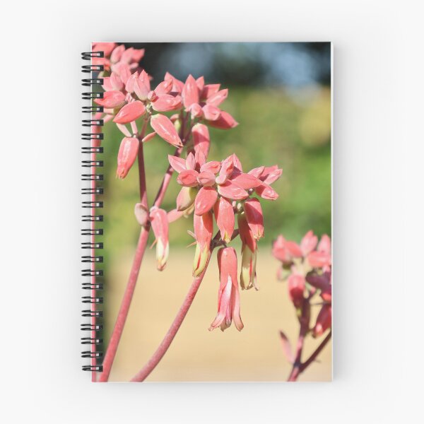 Item preview, Coral Pink Kalanchoe Succulent Flowers designed and sold by 27Tammy27.