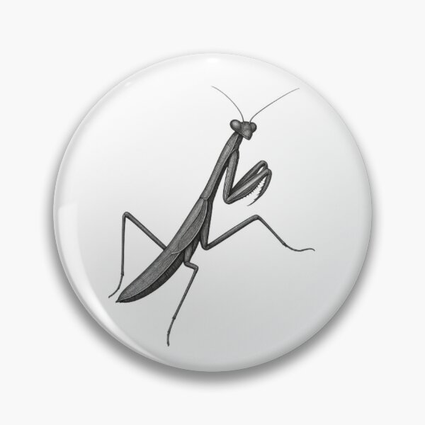 Item preview, Praying Mantis designed and sold by The Insect Library.