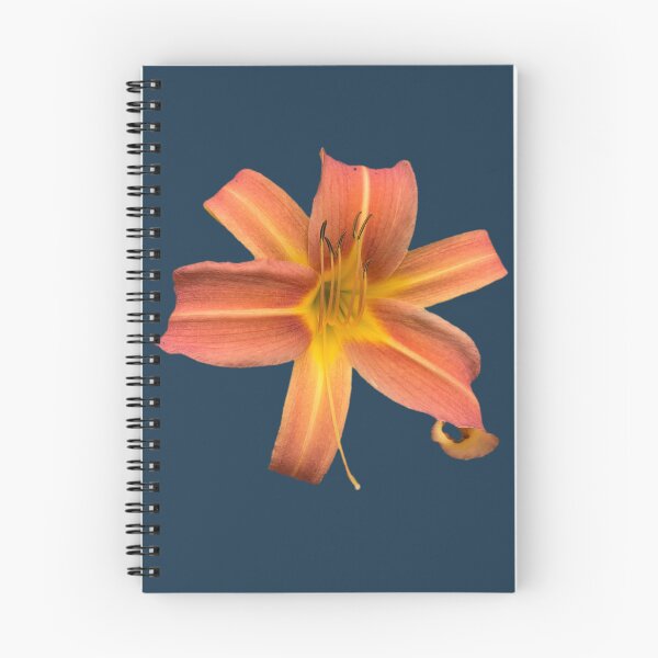 Item preview, Tiger Lily  designed and sold by Amanda1775.
