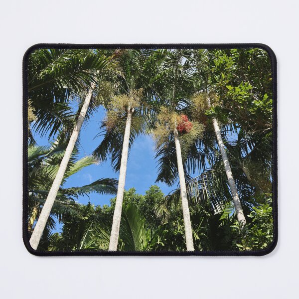 Item preview, Towering Native Australian Palm Trees Red Berries designed and sold by 27Tammy27.