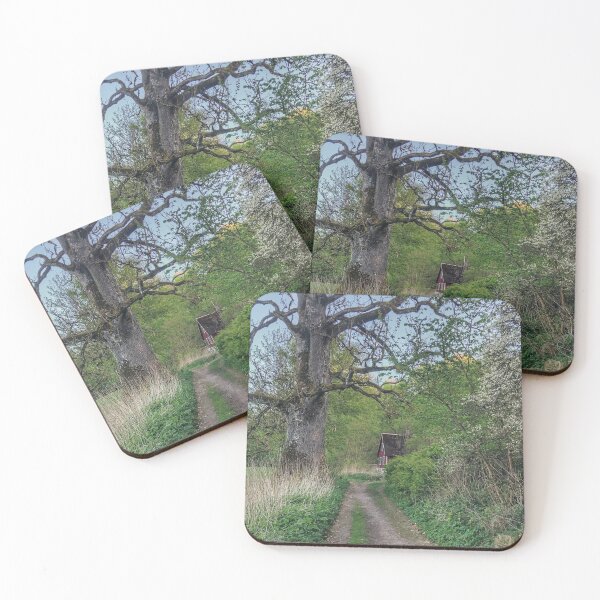 Item preview, Swedish Audi Quattro Mountain Adventure designed and sold by Hashmiinyoga.
