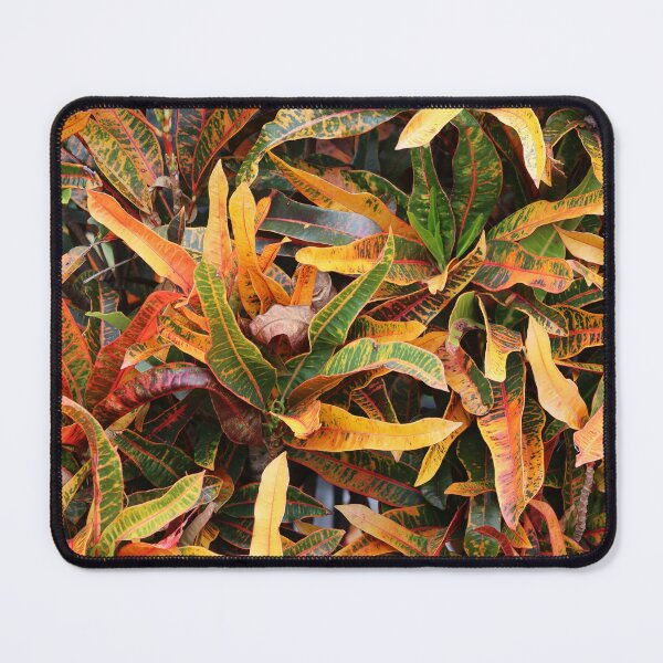 Item preview, Colourful Croton Plant Foliage Pattern designed and sold by 27Tammy27.