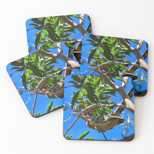 Item preview, Roadrunner designed and sold by Courtney Croxall.