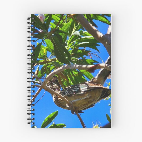 Item preview, Roadrunner designed and sold by Courtney Croxall.