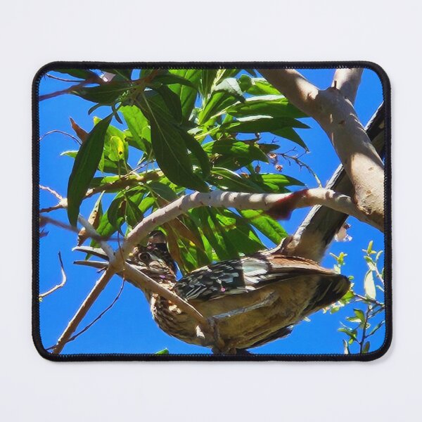 Item preview, Roadrunner designed and sold by Courtney Croxall.