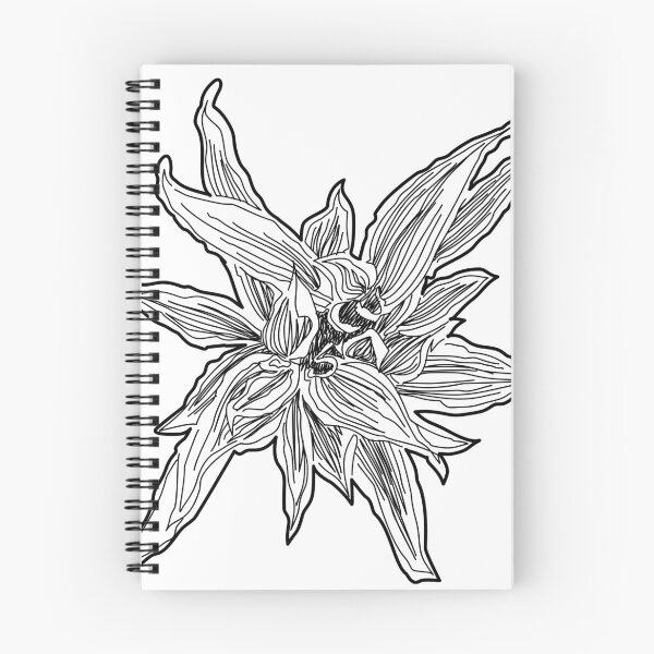 Item preview, Pointed Variegated Shrub Plan View Line Art designed and sold by zanaxxer.