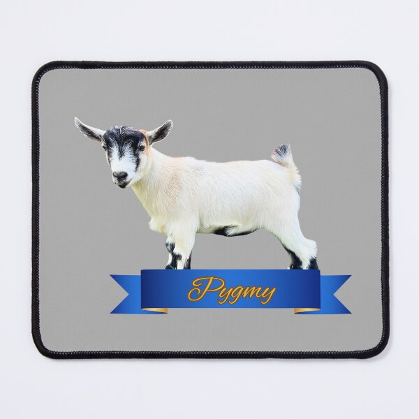 Item preview, Pygmy Goat and Breed Banner designed and sold by CritterCapers.