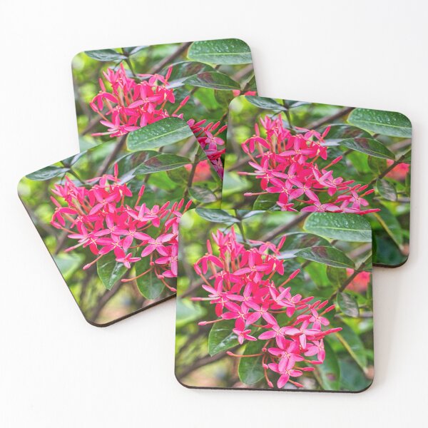 Item preview, Vibrant Pink Ixora Blossoms in Bloom designed and sold by wendyhattonphotography.