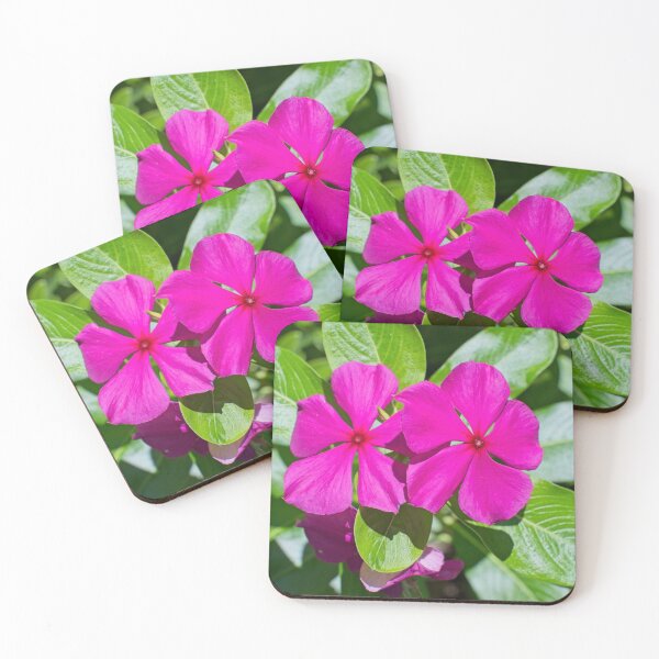 Item preview, Radiant Pink Periwinkles designed and sold by wendyhattonphotography.